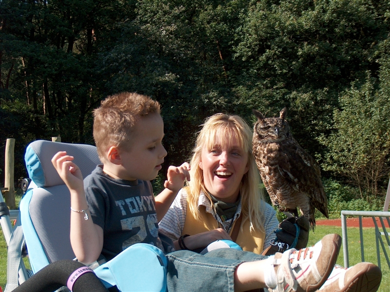 bij de roofvogelshow